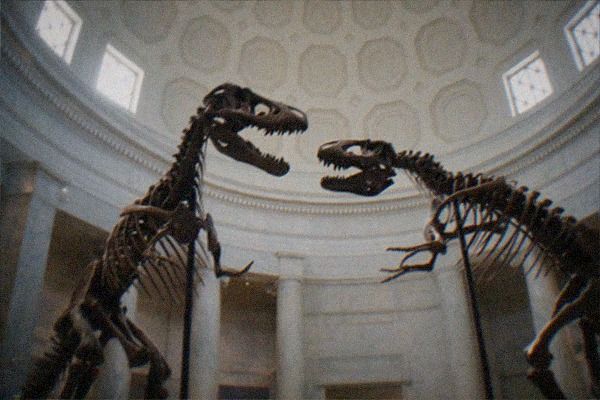 Natural History Museum