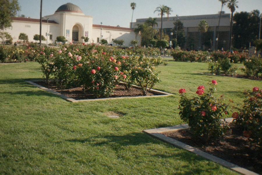 Exposition Park parking lots with palm trees and museum buildings in the background