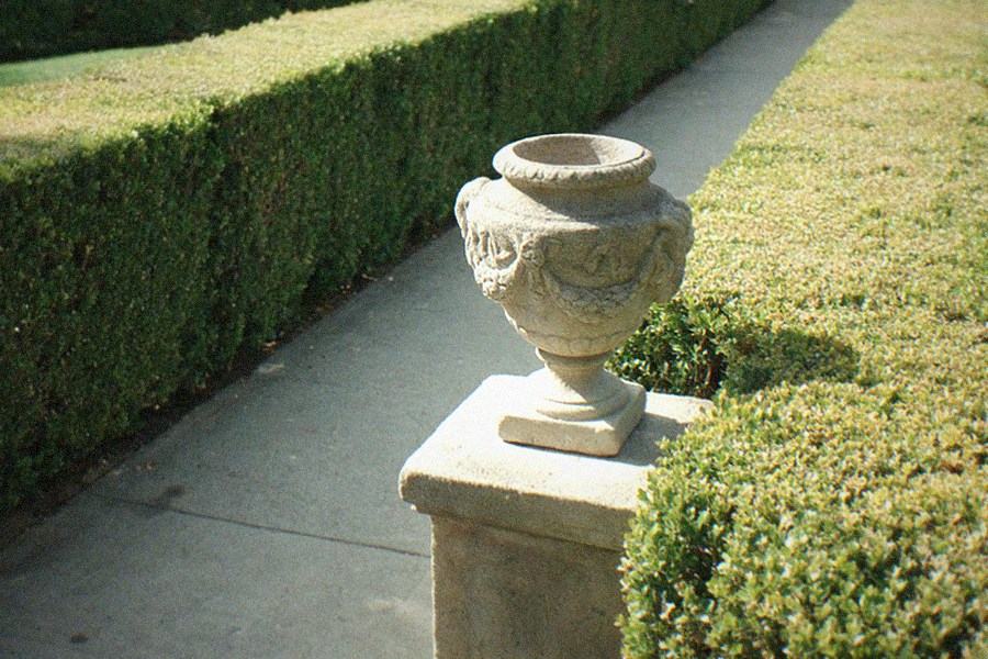 A desert garden with tall columnar cacti and succulents along a gravel path