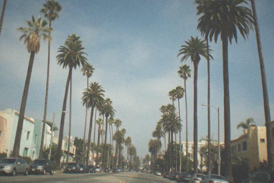 Red and silver museum building facade on a wide boulevard with palm trees.