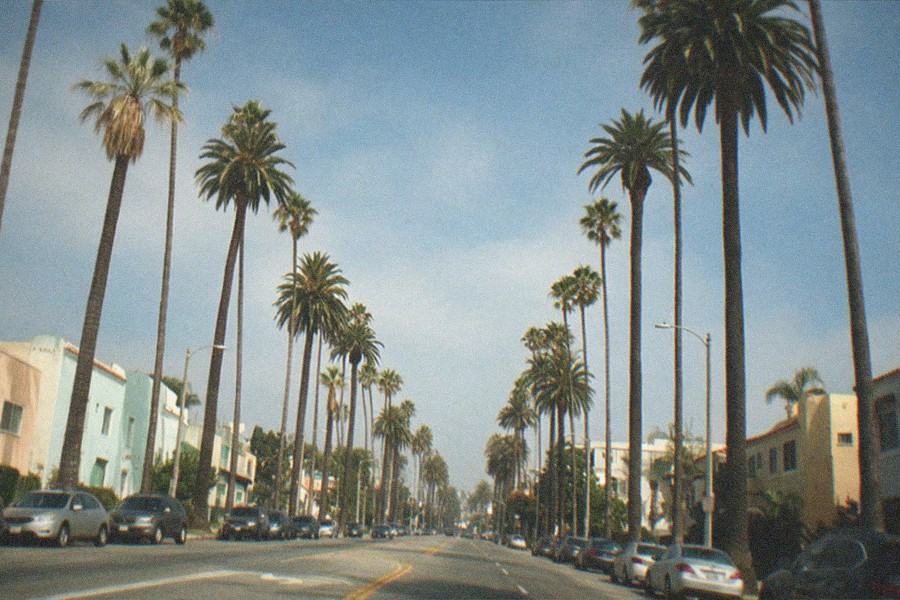 A wide boulevard with museums on both sides and palm trees along the sidewalk