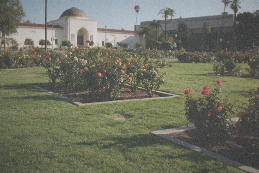 Construction barriers and scaffolding in front of a closed museum building