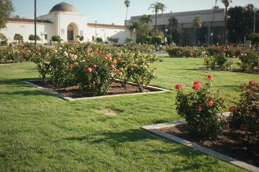 A wide park lawn with museum buildings on either side and palm trees