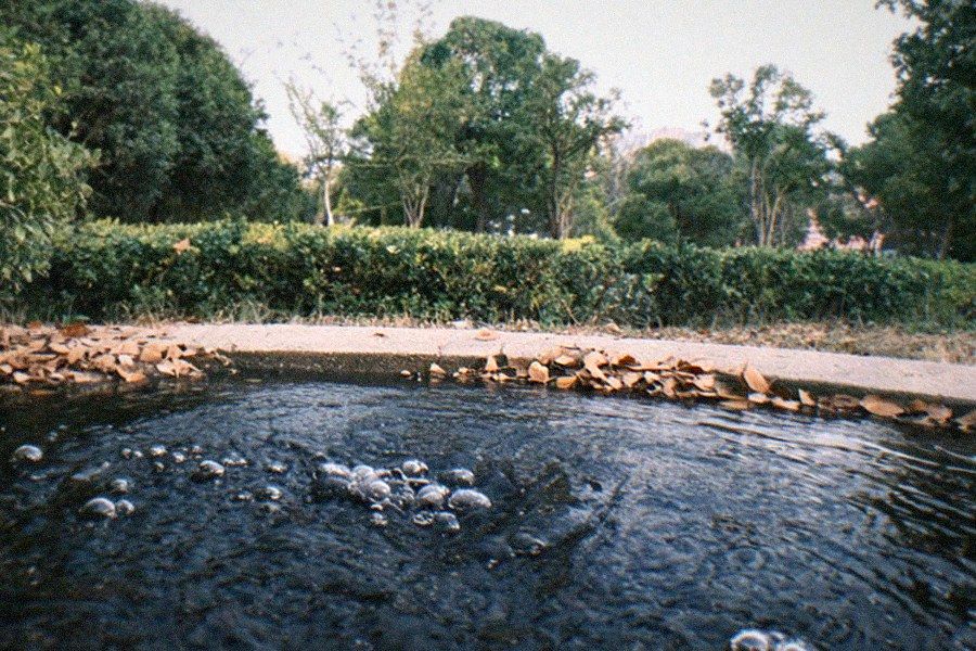 Fenced excavation pit with layered sediment visible, surrounded by the lawns and paths of Hancock Park